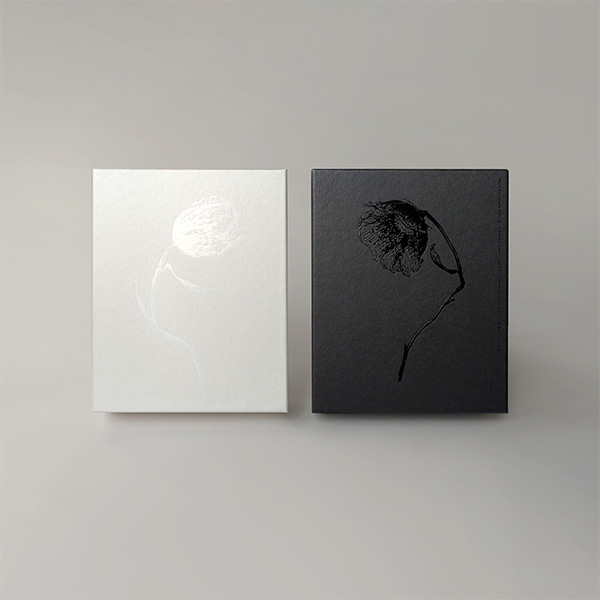 NieR:Automata Ver1.1a Blu-ray/DVD BOX Vol.2