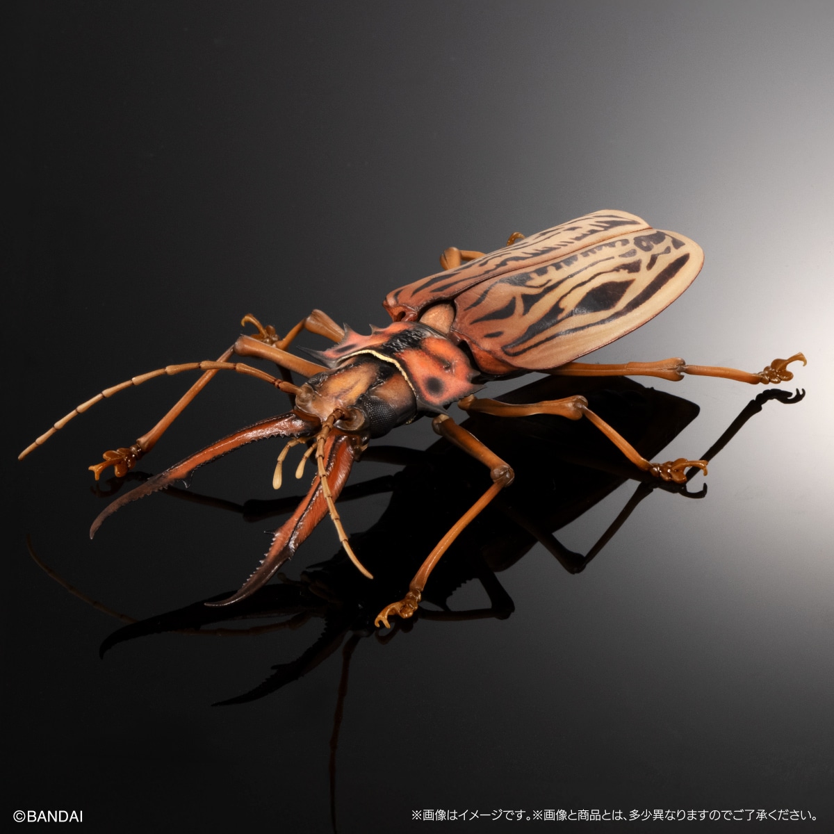 いきもの大図鑑アドバンス オオキバウスバカミキリとハンミョウ