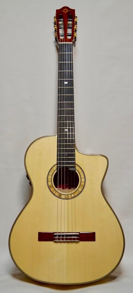 ☆NEXT TONE アクリルギター NEXT TONE アクリルギター NEXT TONE