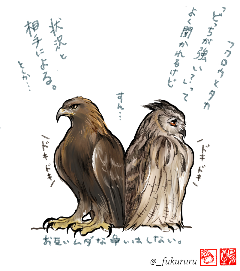 フクロウの凄さ語ってるとフクロウとタカどっちが強い?って聞かれるん