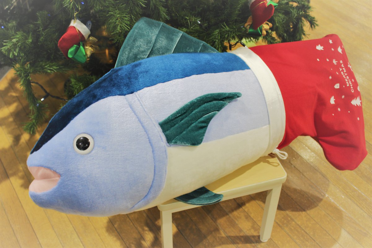 🎅今年はサンタクロースに「マグロのぬいぐるみ」をリクエスト