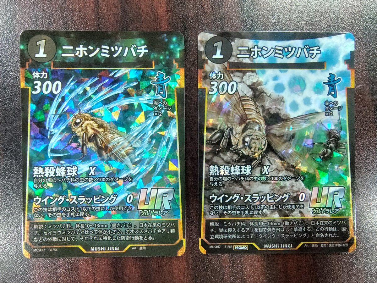 第7弾封入のニホンミツバチURは、イラストだけでなく、解説文もプロモ