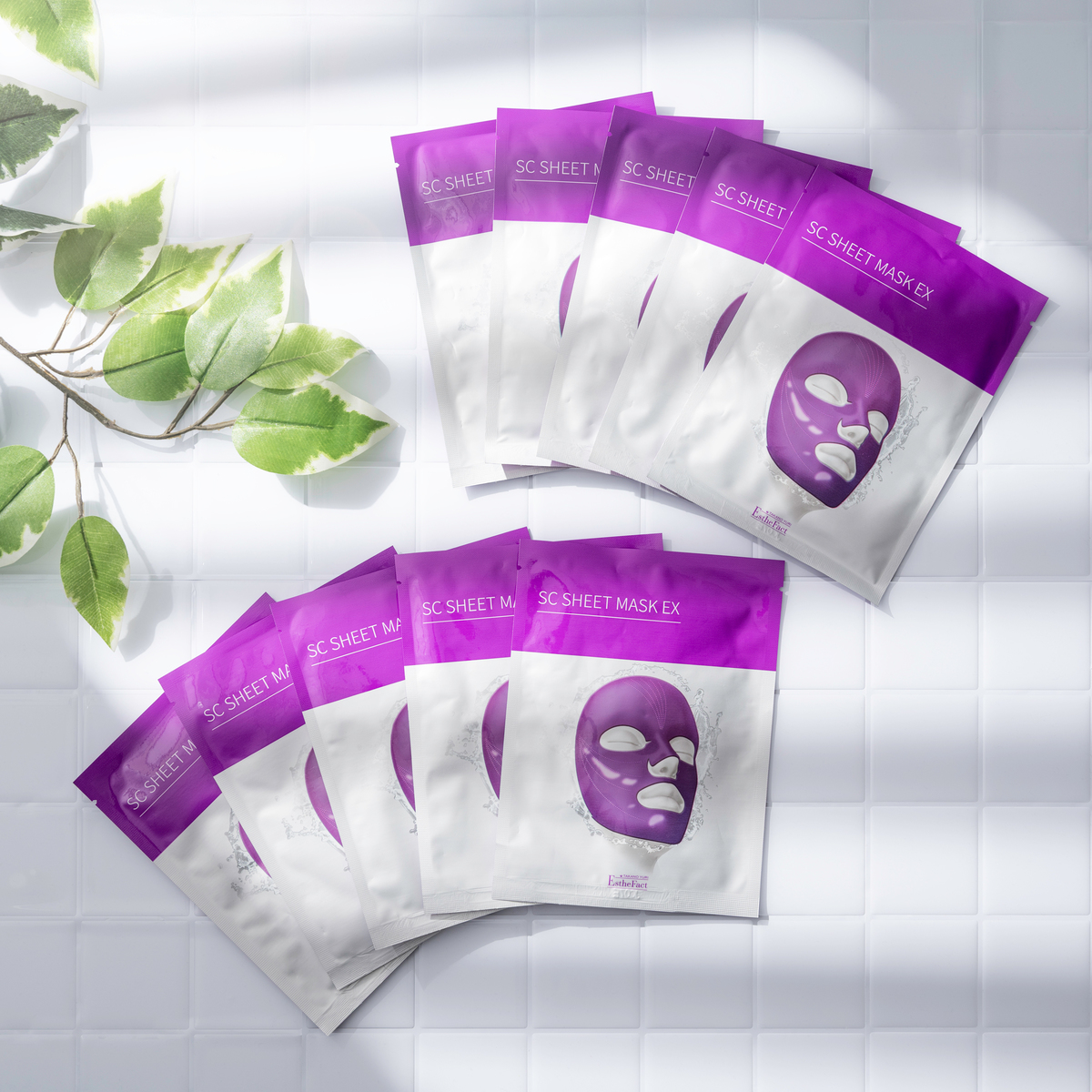 たかの友梨エステファクト エッセンスパウダーEXN特別セット たかの