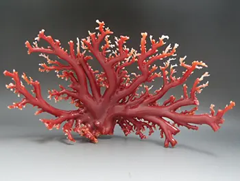 赤珊瑚の原木を超高額買取！ 原木の査定ポイントを5つ紹介します