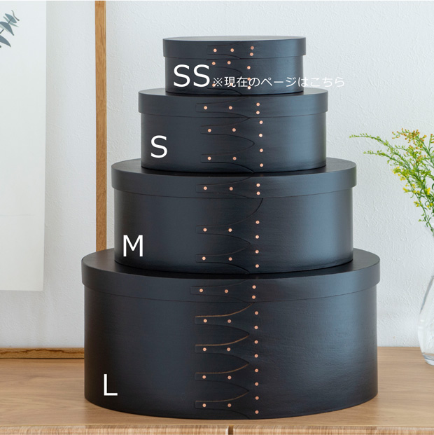 AXCIS（アクシス） ＼3/5はポイント10倍／ シェーカーボックス SS