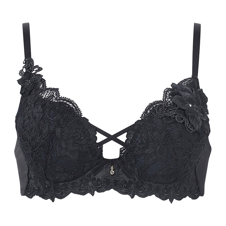 サルート（SALUTE） ワコール 27グループ 27G ブラジャー単品 VIVA