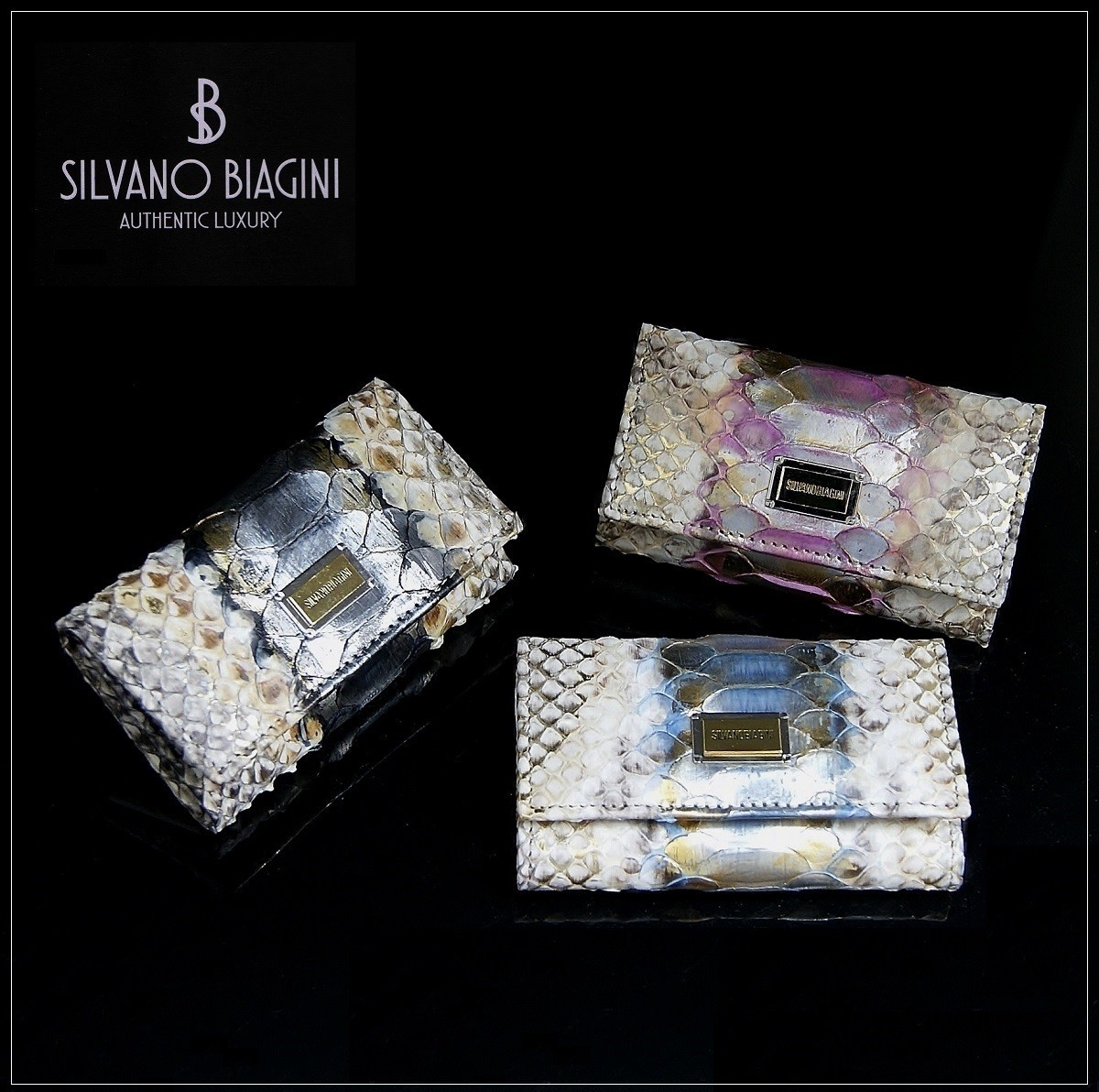 SILVANO BIAGINI（シルヴァーノビアジーニ） キーケース パイソン 蛇柄