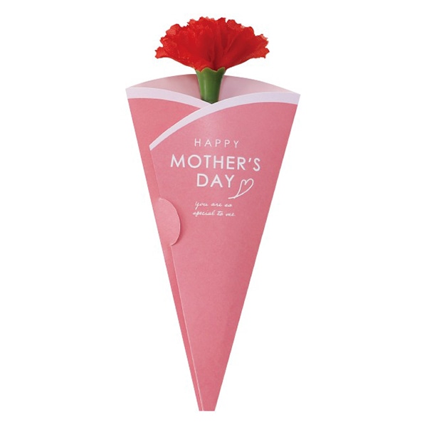 アルファ 母の日ピンクカーネーション メッセージカード付 MA1-0026M 1