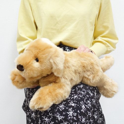 吉徳 ゴールデンレトリバー Sサイズ – 日本の老舗通販．net