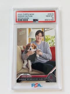 PSA10 大谷翔平 デコピン Topps スポーツカード - メルカリ