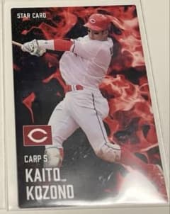 m97940053092_1.jpg?1751894002