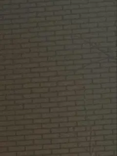 2026年最新】108フラワーズ box 英語 revisedの人気アイテム - メルカリ