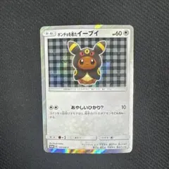 2026年最新】ポンチョを着たイーブイ ブラッキーの人気アイテム - メルカリ