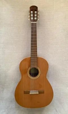 2026年最新】スタッフォード ギターの人気アイテム - メルカリ