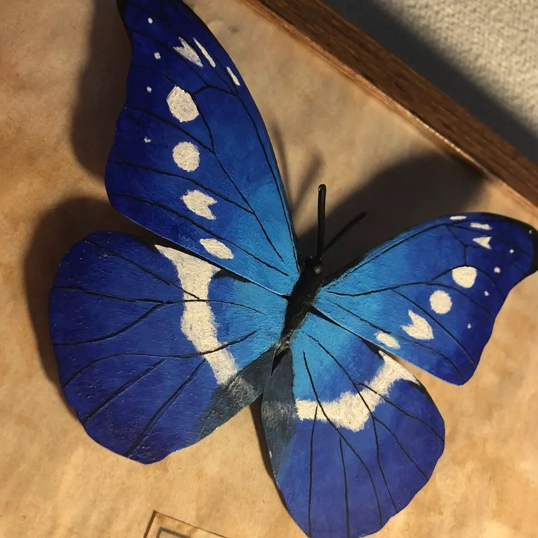 2026年最新】ヘレナモルフォ 標本の人気アイテム - メルカリ