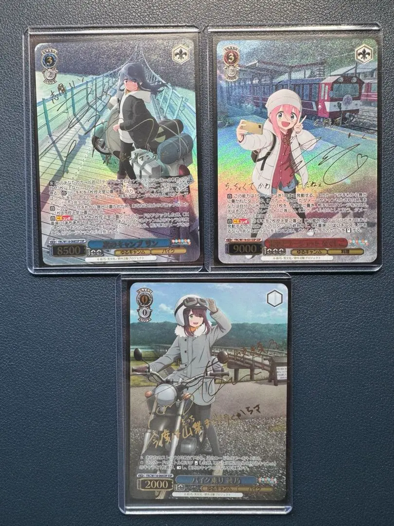 2026年最新】なでしこ sspの人気アイテム - メルカリ