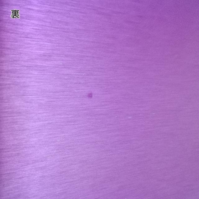 ニコラ・テスラ ポジティブエナジー・パープルプレート L 電磁波対策