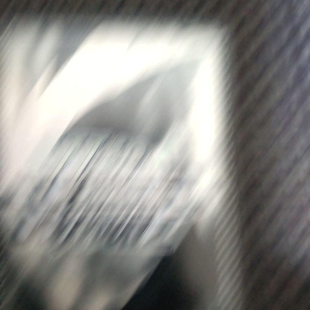 ヴァイスシュヴァルツ 狼と香辛料 豊穣を司る狼の化身 サイン入り sp