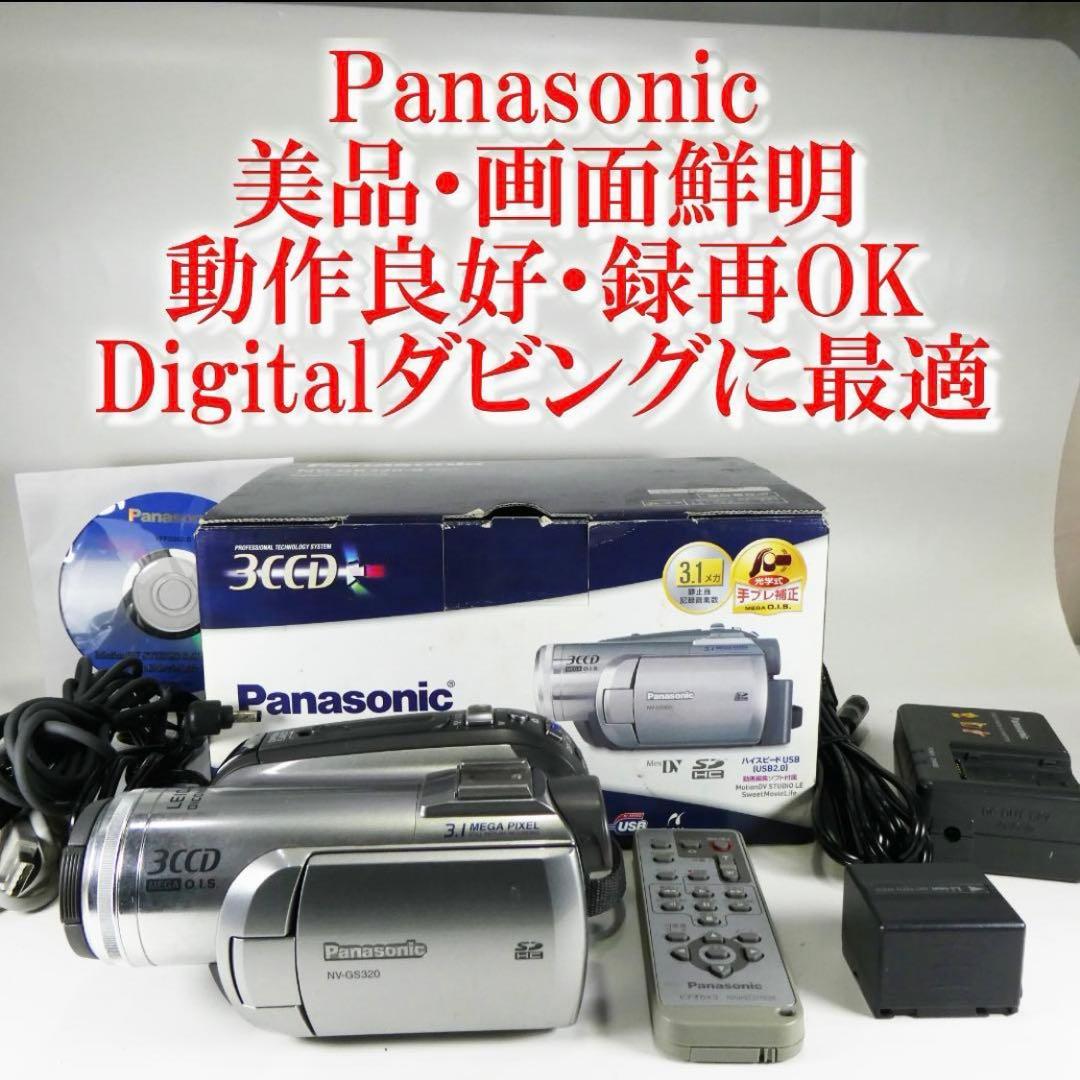 Panasonic NV-GS320-S ビデオカメラ 本体