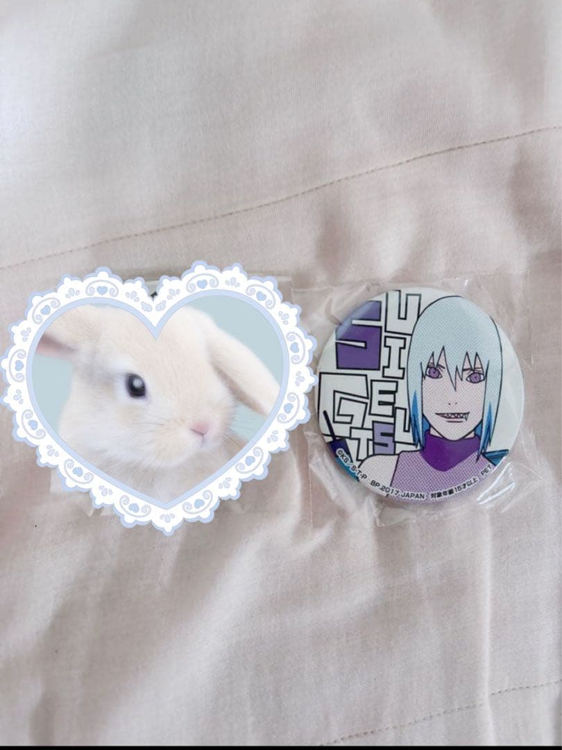 NARUTO疾風伝 缶バッジ SEGA 水月 犬塚キバ