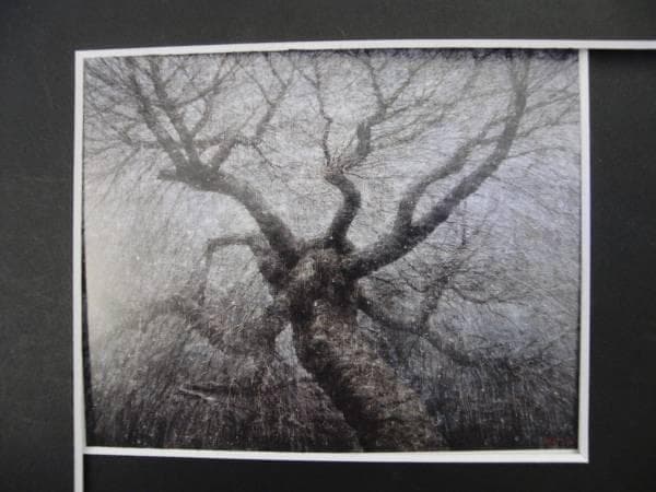 堀 研、風花、希少な額装用画集より、美品、新品額装付