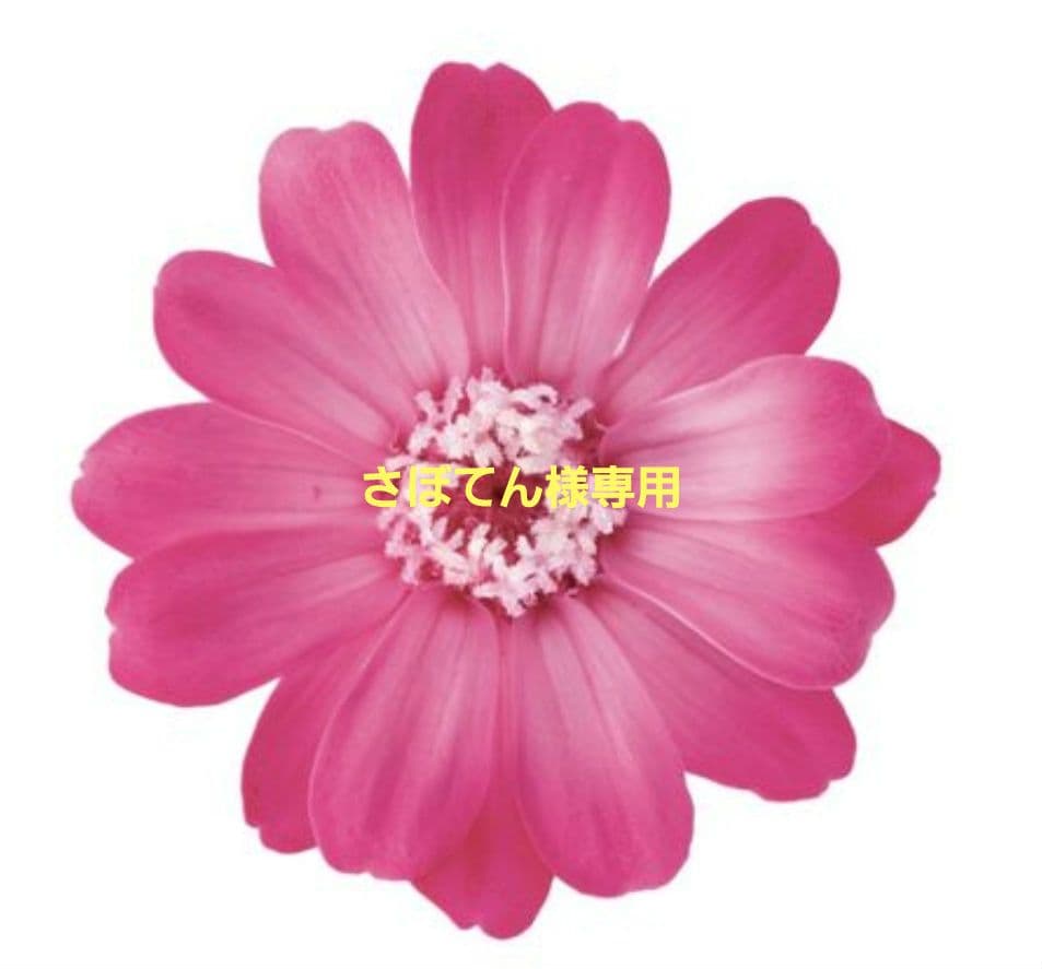 さぼてんページ About Saboten | Saboten Japanese Cutlet ::