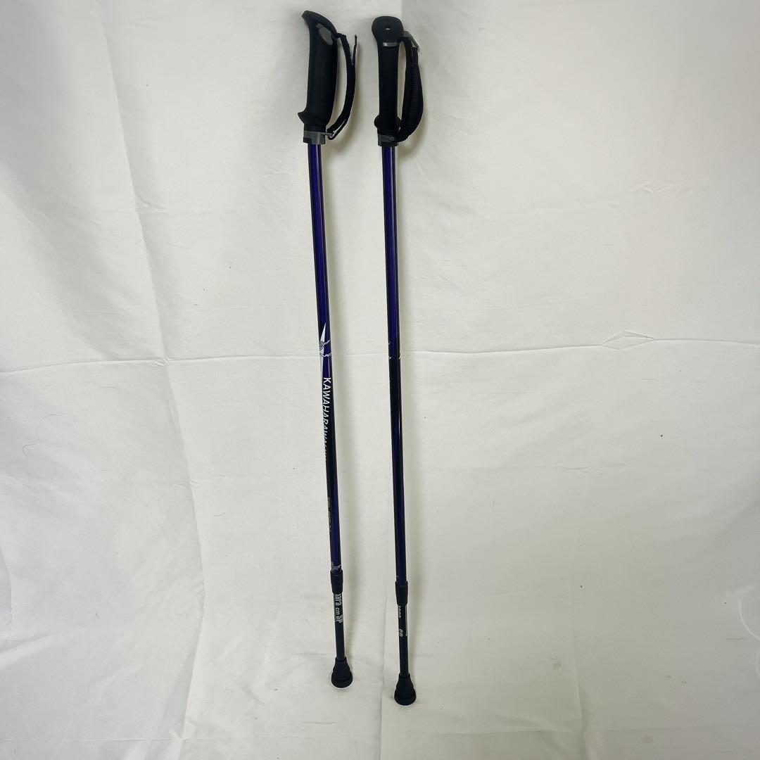 カワハラポール　カワハラウォーキング　紫