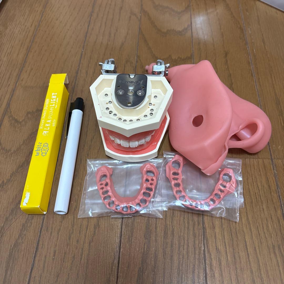 額模型セット トミックス 97963 特企 EF65形 貨物オリジナル塗粧 セット 2両 | 鉄道