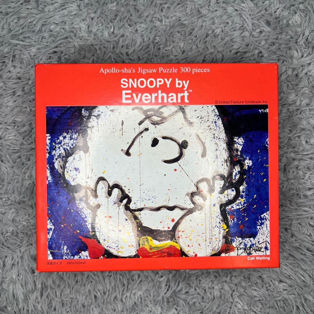 トムエバハート 300pパズル スヌーピー チャーリーブラウン PEANUTS