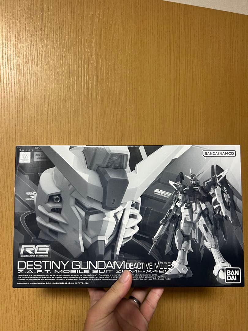 RG 1/144 デスティニーガンダム ディアクティブモード