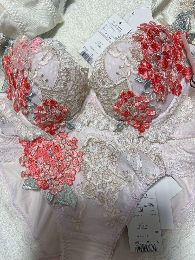 最終価格‼️ワコール/サルート 店舗限定 49グループ ブラショーツm C70