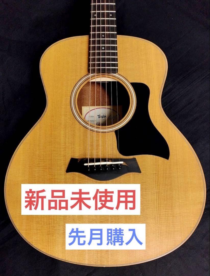 Taylor gs mini GS gsmini 新品　テイラー　アコギ