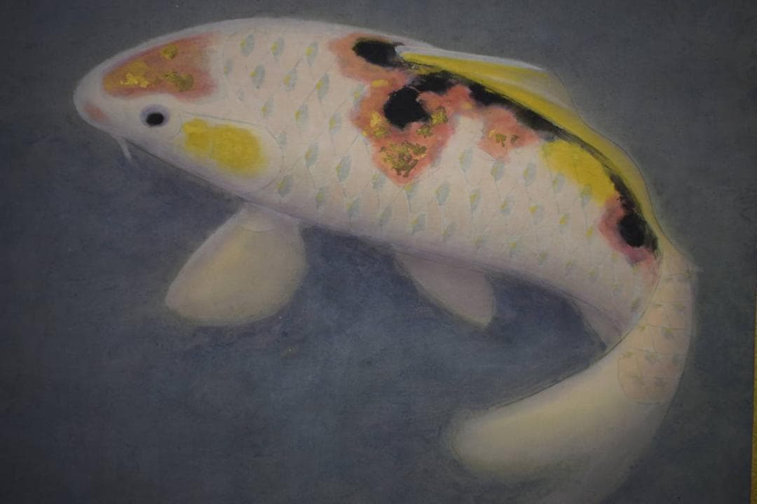 真作/島津華山/鯉図/桐共箱付/布袋屋掛軸HI-938