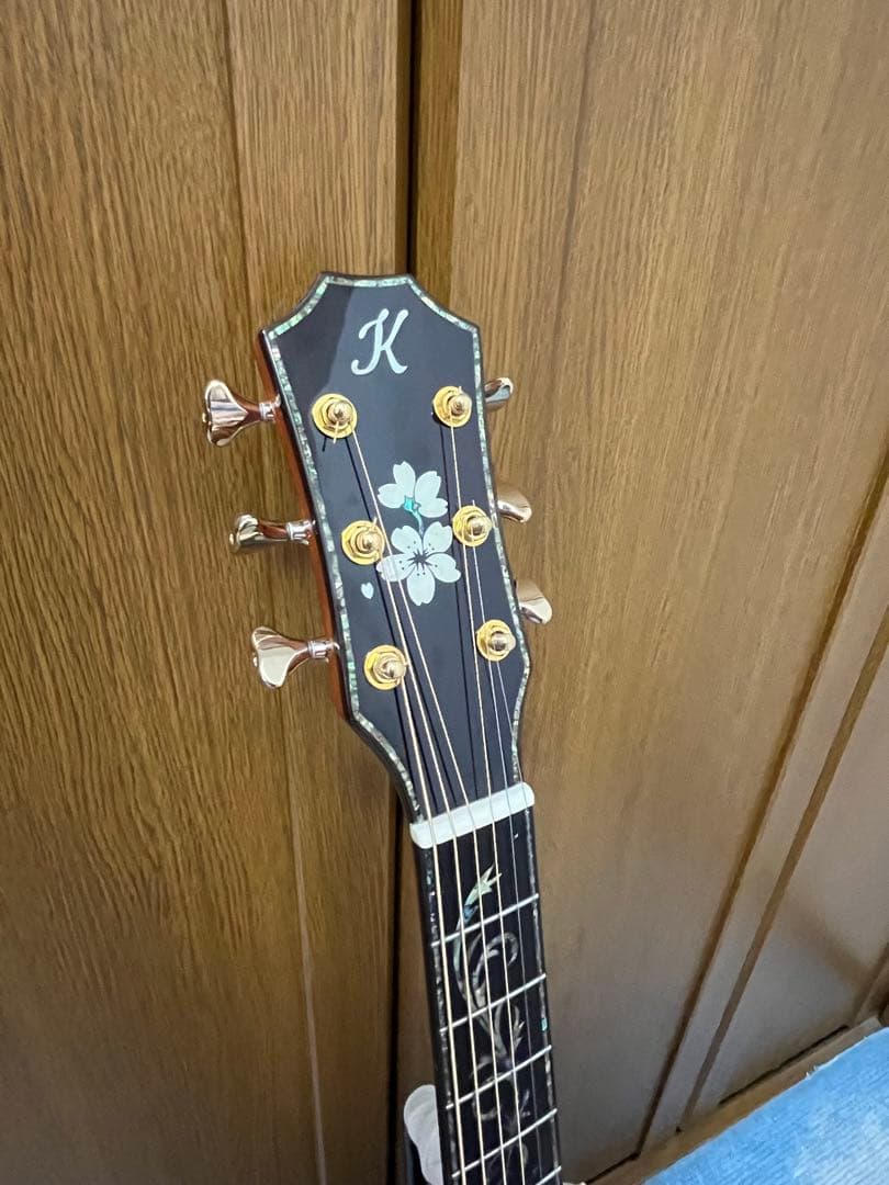 オンライン ストアホビー・楽器・アート - Toya ギターT12Bココボロ