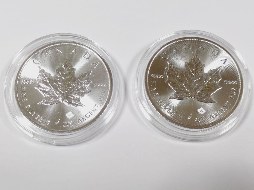 2019カナダメイプルリーフ銀貨1オンス 2枚セット　ケース付き 2019 カナダ メイプルリーフ銀貨 1オンス .9999 ファインシルバー