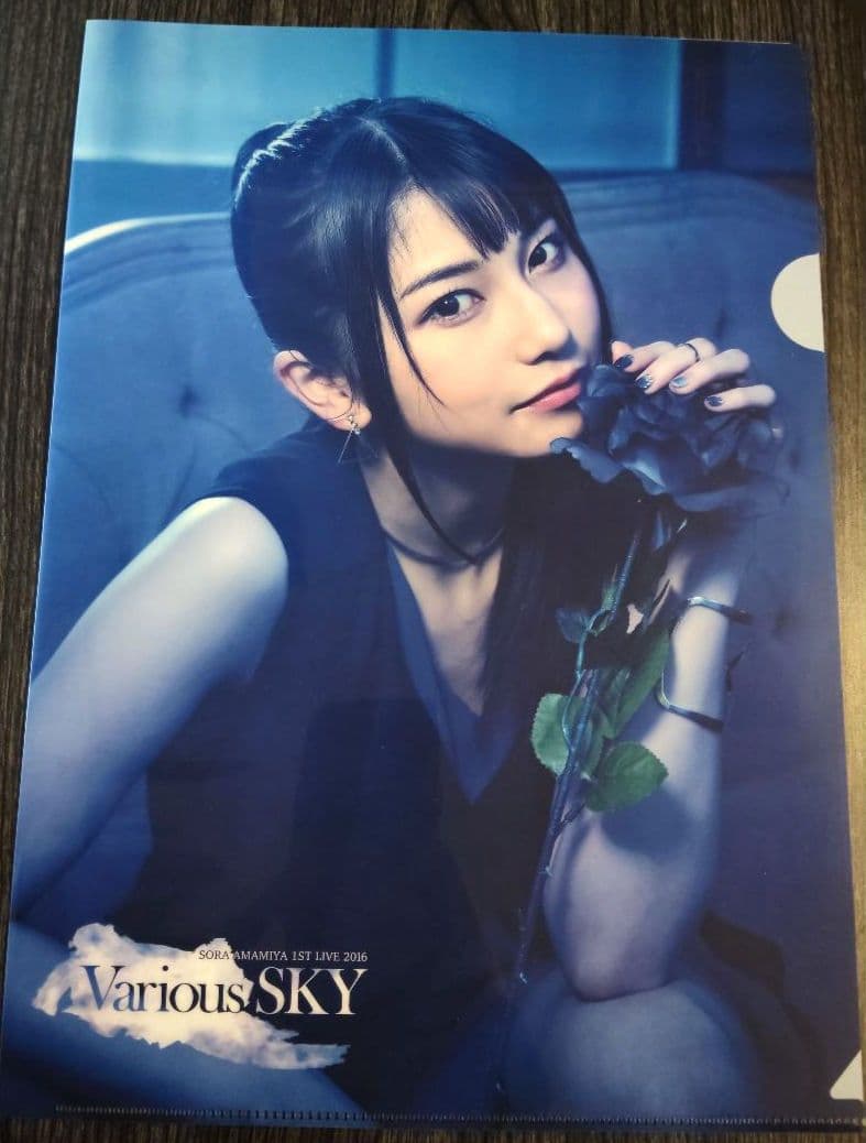 雨宮天 クリアファイル23枚セット 雨宮天 クリアファイル23枚セット - メルカリ