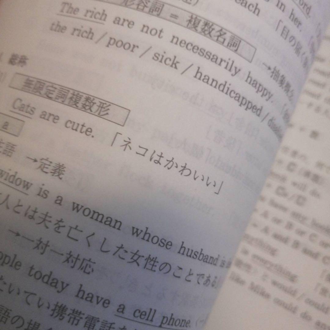 超希少・書込なし】代ゼミテキスト 的中ねらいの英作文 小倉弘 冬期