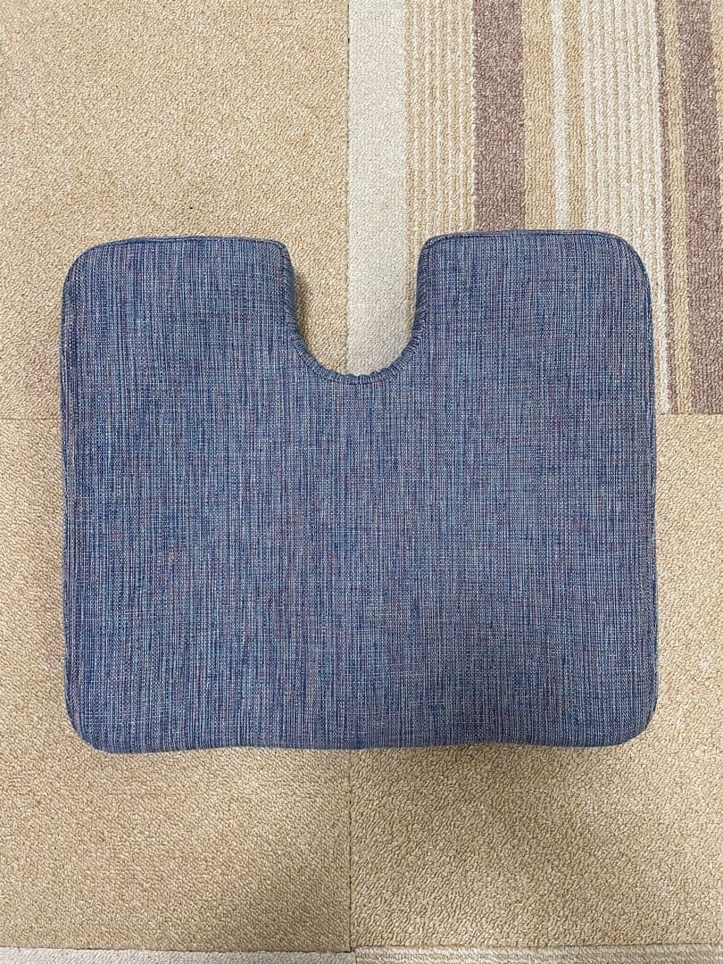 【特許・意匠登録済】 体圧反応座板Ⅲ型 構造医学研究財団