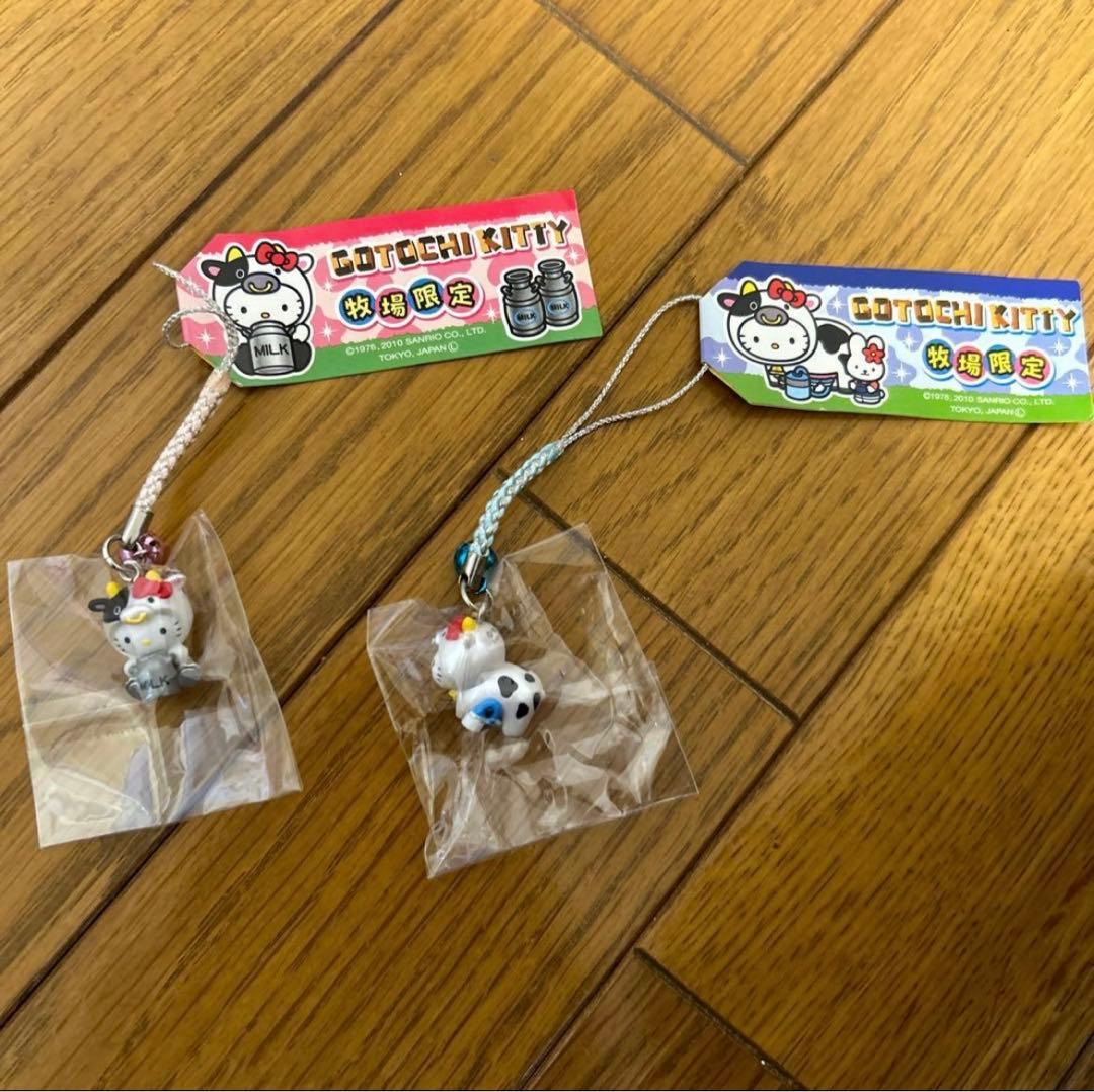 ピンバッチのみ】 sky星を紡ぐ子どもたち 虹色の蝶々 ピンバッチ