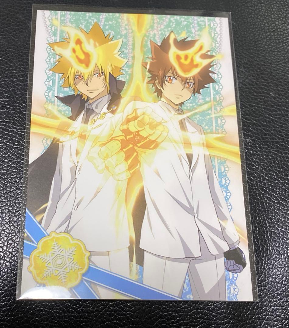 家庭教師ヒットマンREBORN!沢田綱吉リボアニポストカードホワイトデー