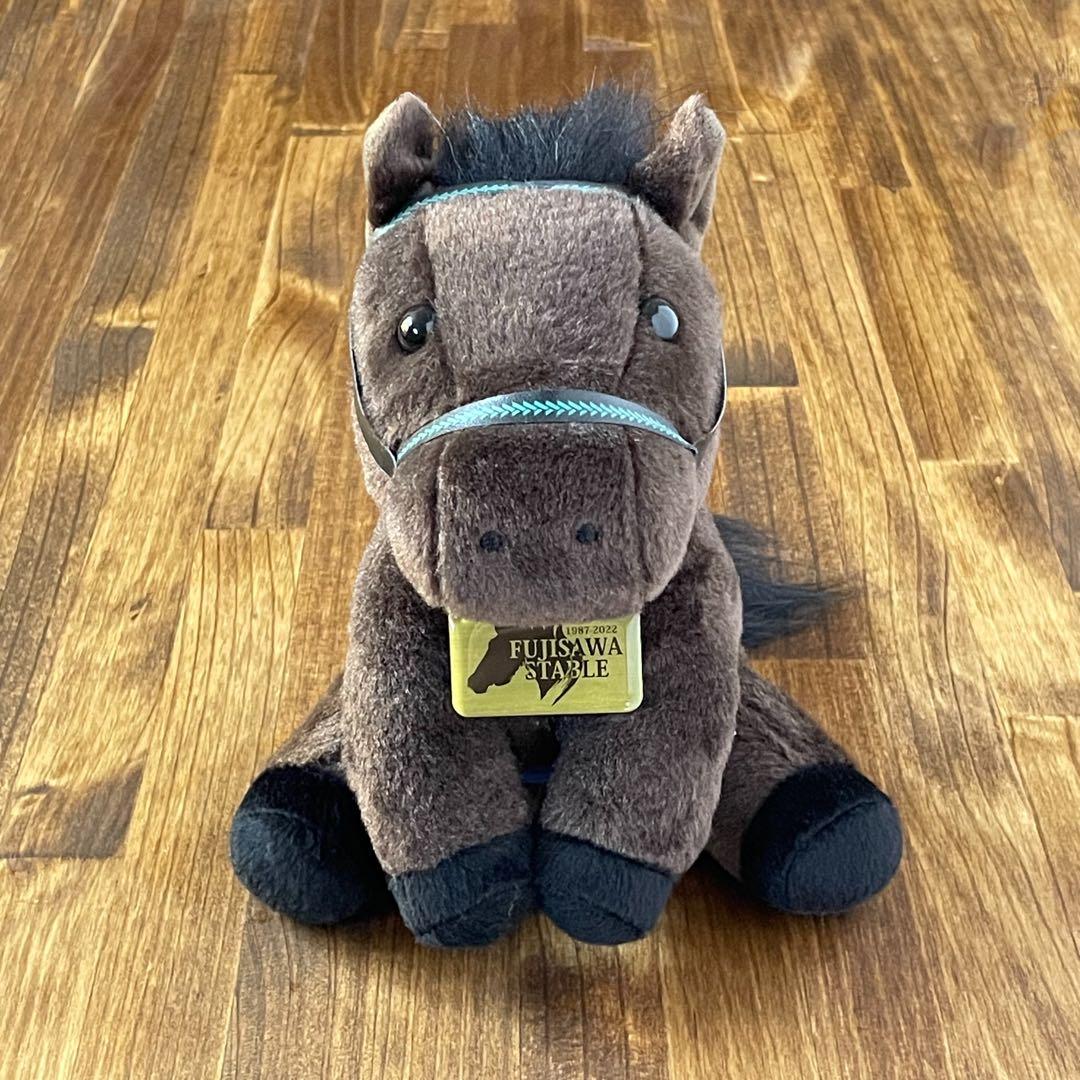 第48回 有馬記念 シンボリクリスエス アイドルホース 藤沢和雄厩舎