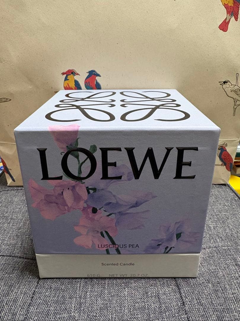 LOEWE Luscious Pea 香り付きキャンドル 610g アイビー キャンドル スモール ピンク - LOEWE Japan official website