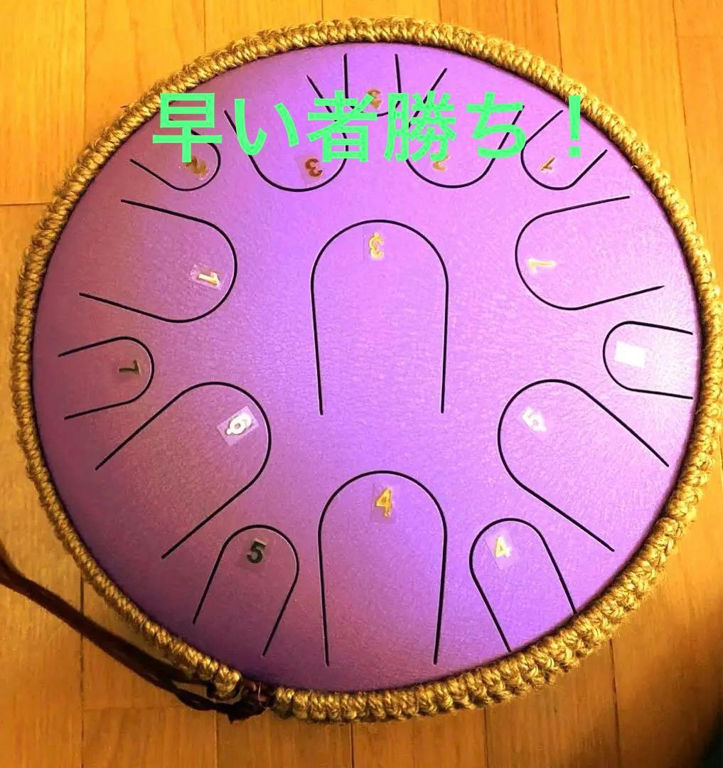 タングドラム15音　Dメジャー　楽譜あり　EMPTY DRUM