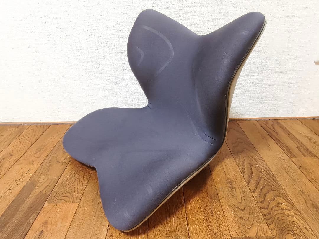 【極美品】人気品 MTG Style PREMIUM 姿勢サポートチェア