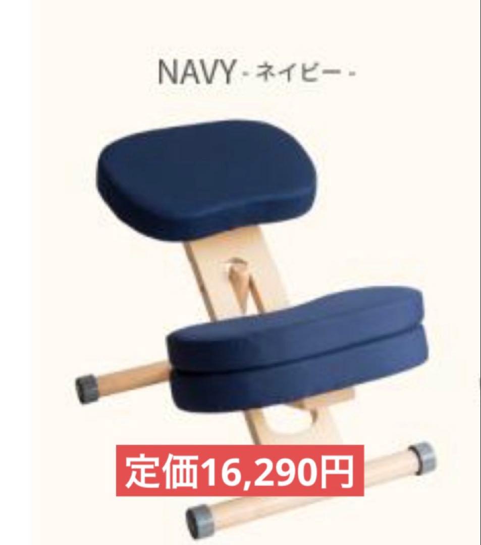 宮武製作所 ミヤタケ プロポーションチェア ネイビー　紺　 椅子 キッズ 宮武製作所 MIYATAKE プロポーションチェア ホワイトネイビー | 椅子