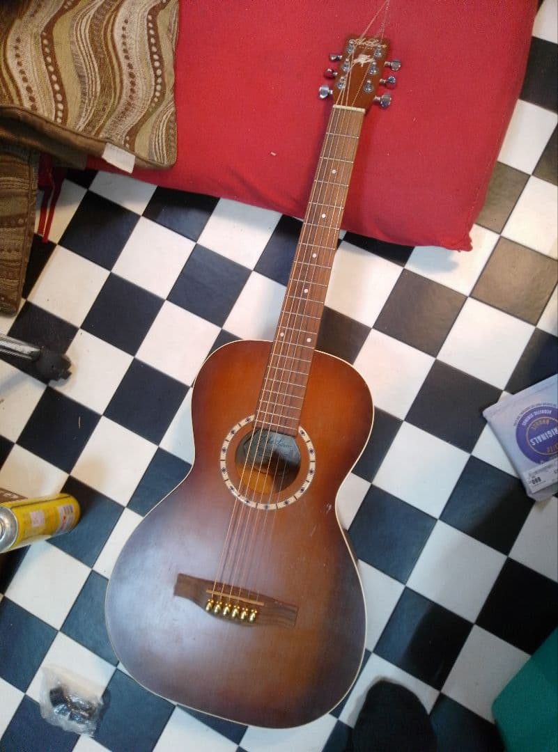 s*l様 Art＆Lutherieアートルシアー ami ゴダンgodin製